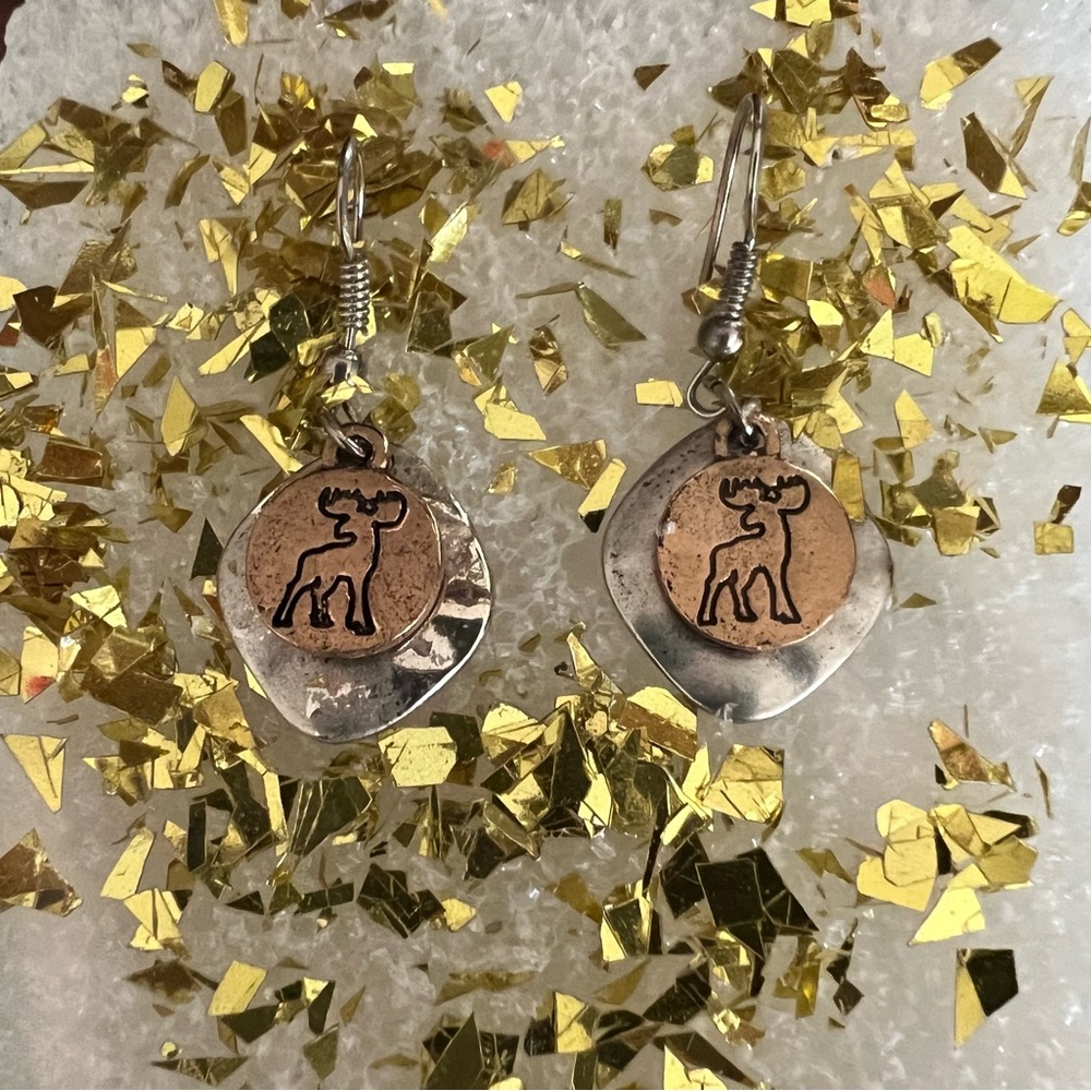 Women’s earrings